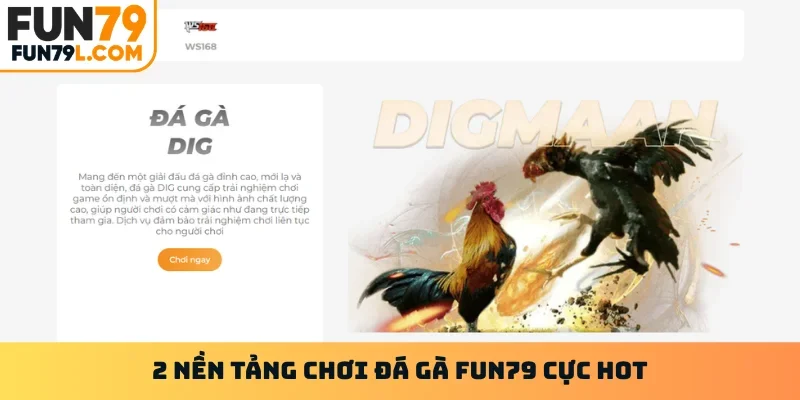 2 nền tảng chơi đá gà FUN79 cực hot