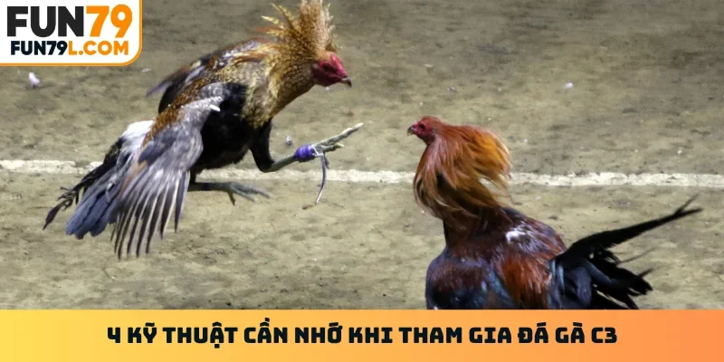 4 kỹ thuật cần nhớ khi tham gia đá gà c3