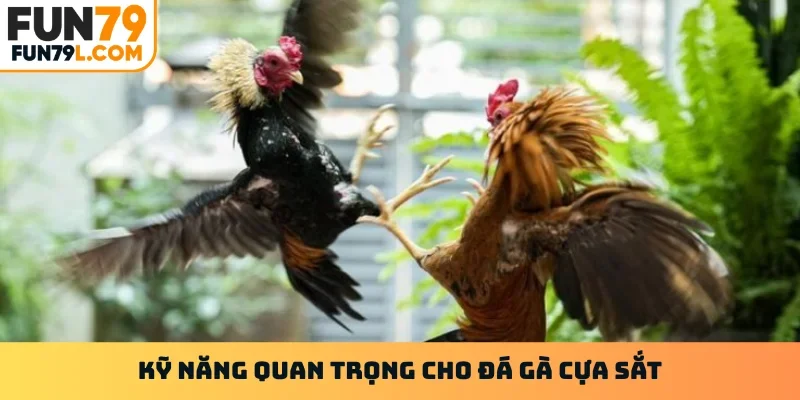Kỹ năng quan trọng cho đá gà cựa sắt