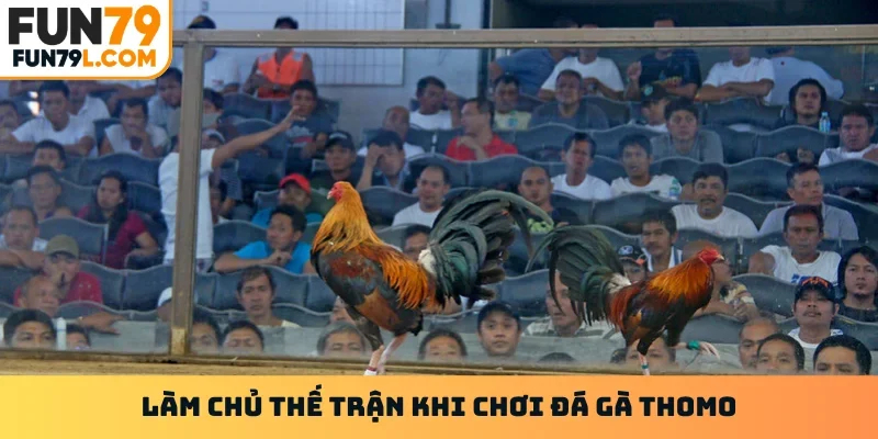 Làm chủ thế trận khi chơi đá gà thomo